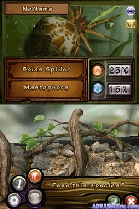 Discovery Kids - Spider Quest (USA) (En,Fr,Es) screen shot game playing